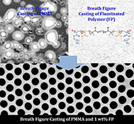 Graphical Abstract Image