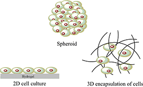 Graphical Abstract Image