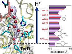 Graphical Abstract Image