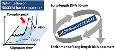 Graphical Abstract Image