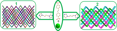 Graphical Abstract Image