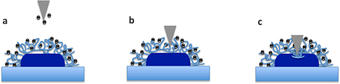 Graphical Abstract Image