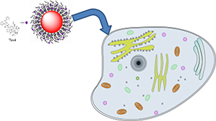 Graphical Abstract Image