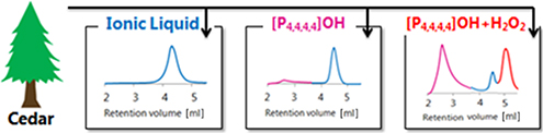 Graphical Abstract Image