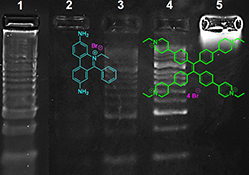 Graphical Abstract Image