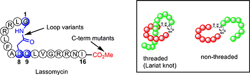 Graphical Abstract Image