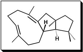 Graphical Abstract Image