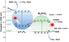 Graphical Abstract Image