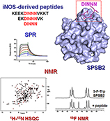 Graphical Abstract Image