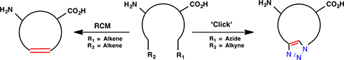 Graphical Abstract Image