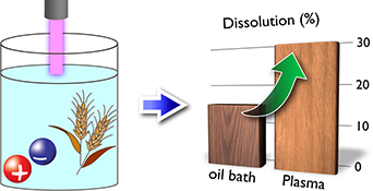 Graphical Abstract Image