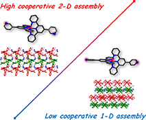 Graphical Abstract Image