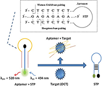 Graphical Abstract Image