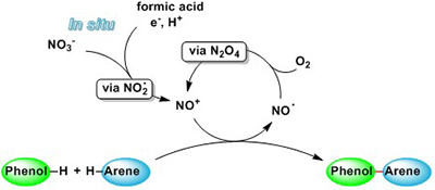 Graphical Abstract Image