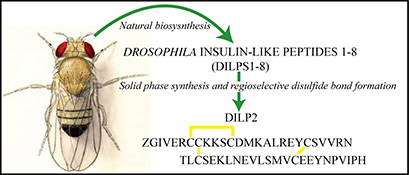 Graphical Abstract Image