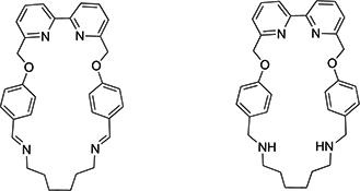 Graphical Abstract Image