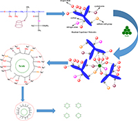 Graphical Abstract Image