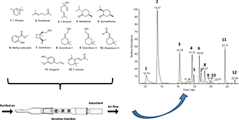 Graphical Abstract Image