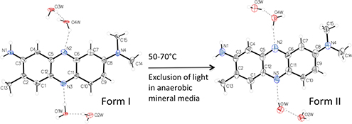 Graphical Abstract Image