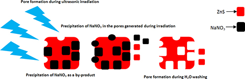 Graphical Abstract Image