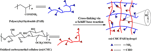 Graphical Abstract Image