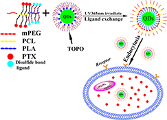 Graphical Abstract Image