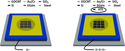 Graphical Abstract Image