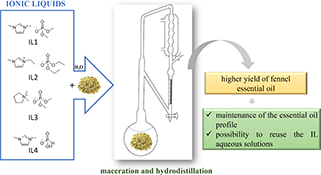 Graphical Abstract Image