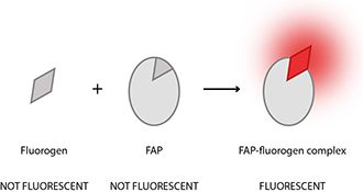 Graphical Abstract Image