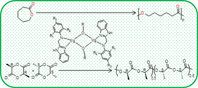 Graphical Abstract Image