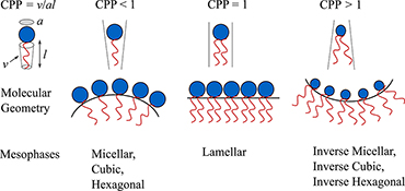 Graphical Abstract Image