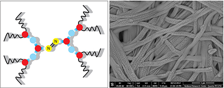 Graphical Abstract Image