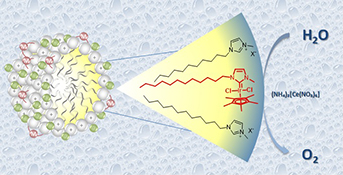 Graphical Abstract Image