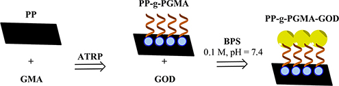Graphical Abstract Image