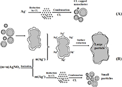 Graphical Abstract Image