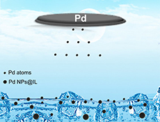 Graphical Abstract Image