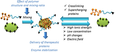 Graphical Abstract Image