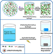 Graphical Abstract Image