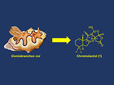 Graphical Abstract Image