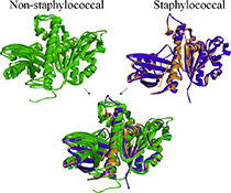 Graphical Abstract Image