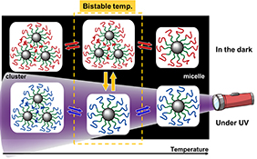 Graphical Abstract Image