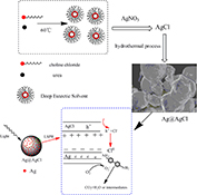 Graphical Abstract Image