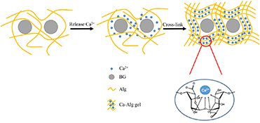 Graphical Abstract Image
