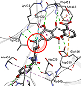 Graphical Abstract Image