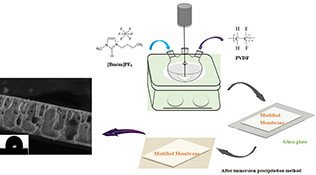 Graphical Abstract Image