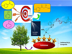 Graphical Abstract Image