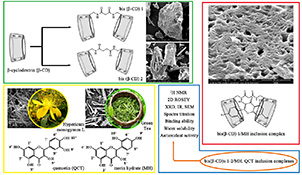 Graphical Abstract Image