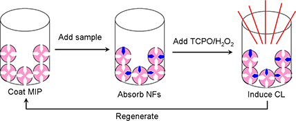 Graphical Abstract Image