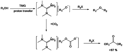 Graphical Abstract Image