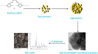 Graphical Abstract Image